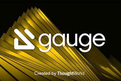 Gauge Framework